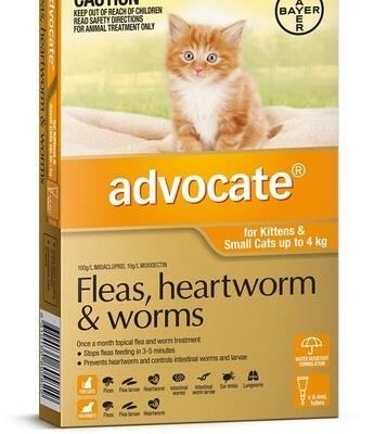 Advocate Spot-On Flea & Worm Control for Cats under 4kg - 6 Pack