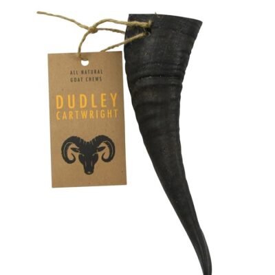 Dudley Cartwright Natural Goat Horns Dog Chews - Kid GT1