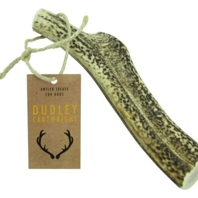 Dudley Cartwright Whole Antler [Size: Small]