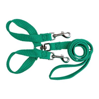 Beau Pets Double Nylon - Brace Lead - Green 20 Mm X 135cm