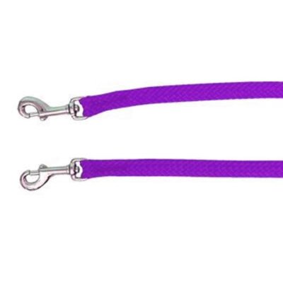 Beau Pets Double Nylon - Brace Only - Purple 20 Mm X 65cm