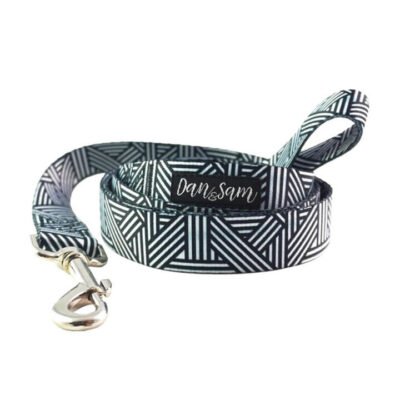 Dan & Sam Polyester Webbing Lead For Dogs - Abstract 1.5 X 150cm - Small