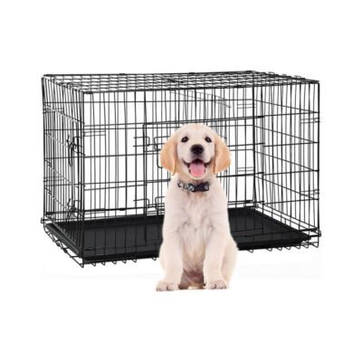 Royale Collapsible Dog Crate - Small 24 Inch