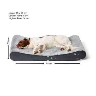 Ortho Lounger Dog Bed