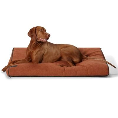 Modern Dog Daybed