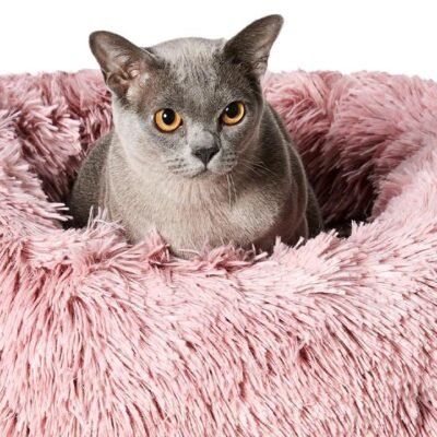 Calming Cuddler Cat Bed