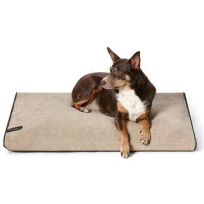Snooza Dog Bed Covers Modern Dog Daybed Cover